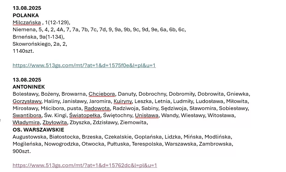 Kolportaż ulotek Poznań_raporty_SMS-Email.jpg